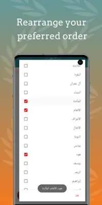 Nasser Al Qatami Quran Offline android App screenshot 3